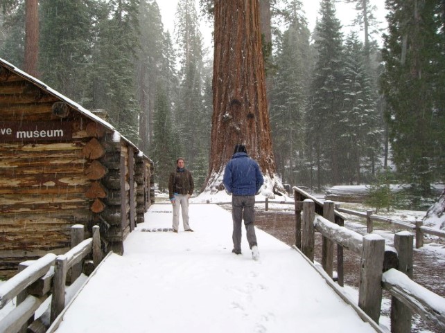 Marcel en Michiel bij het gesloten Mariposa Grove museum - in de sneeuw 
